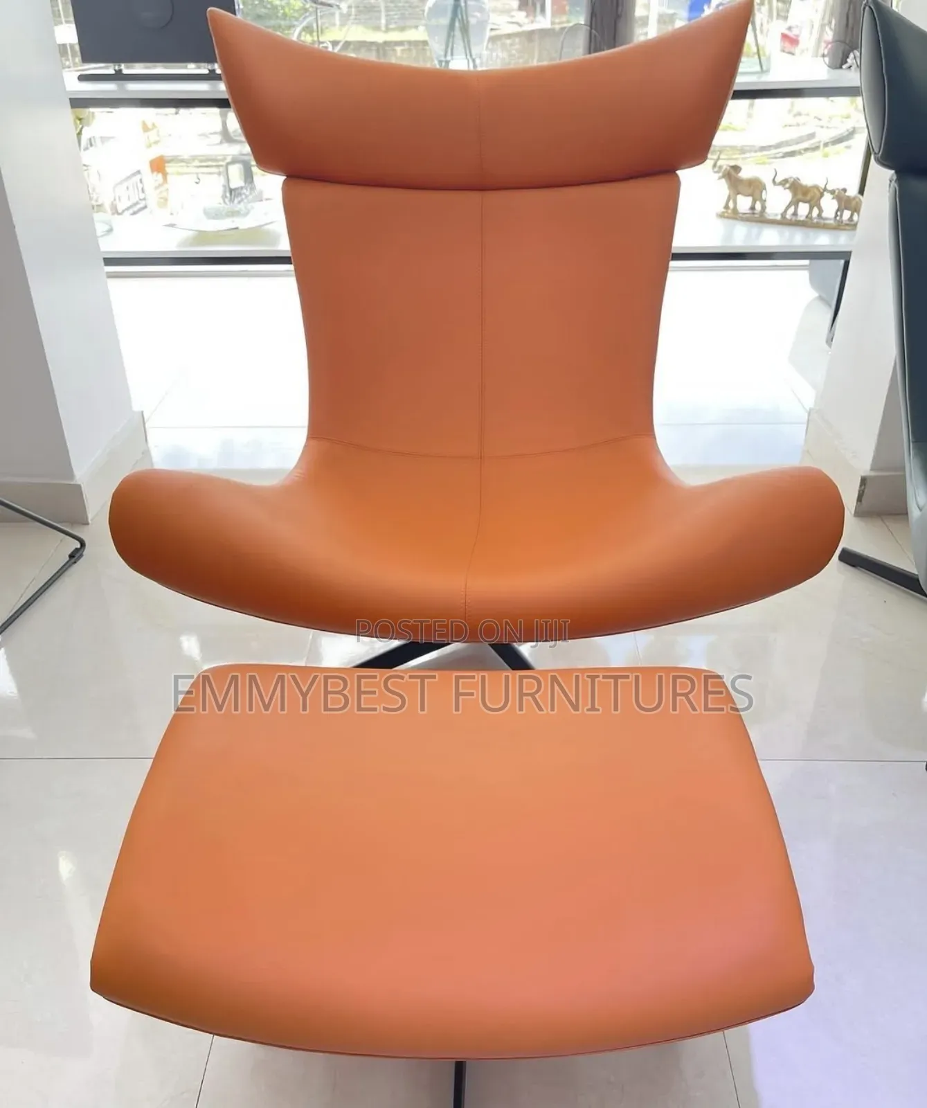 Classic Unifying Accent Designed Relaxing Chair.