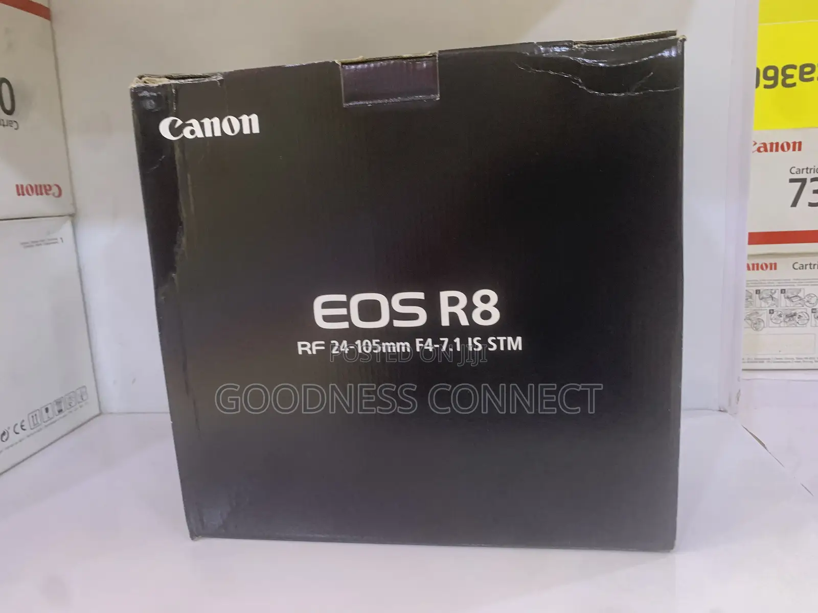 Canon Eos R8 With 24-105 Lens F4 7.1 Stm