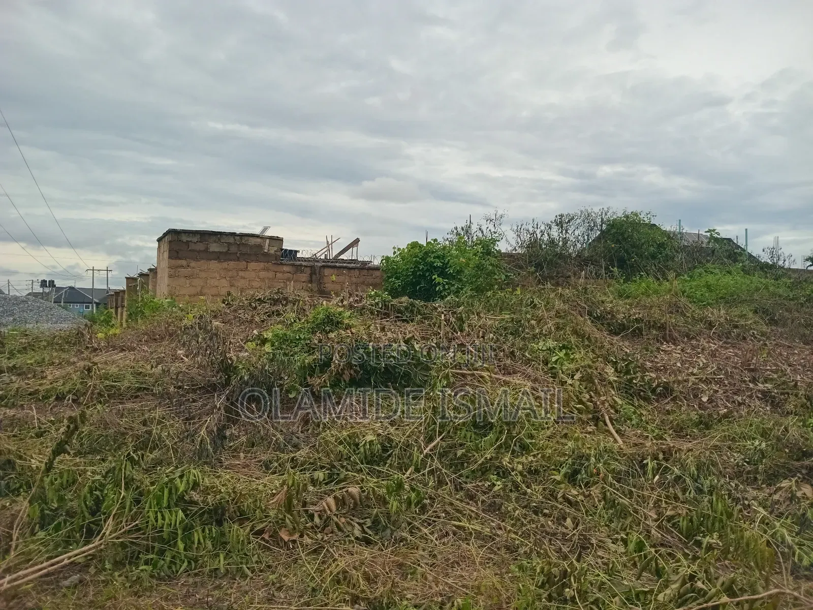 2plots Damico
