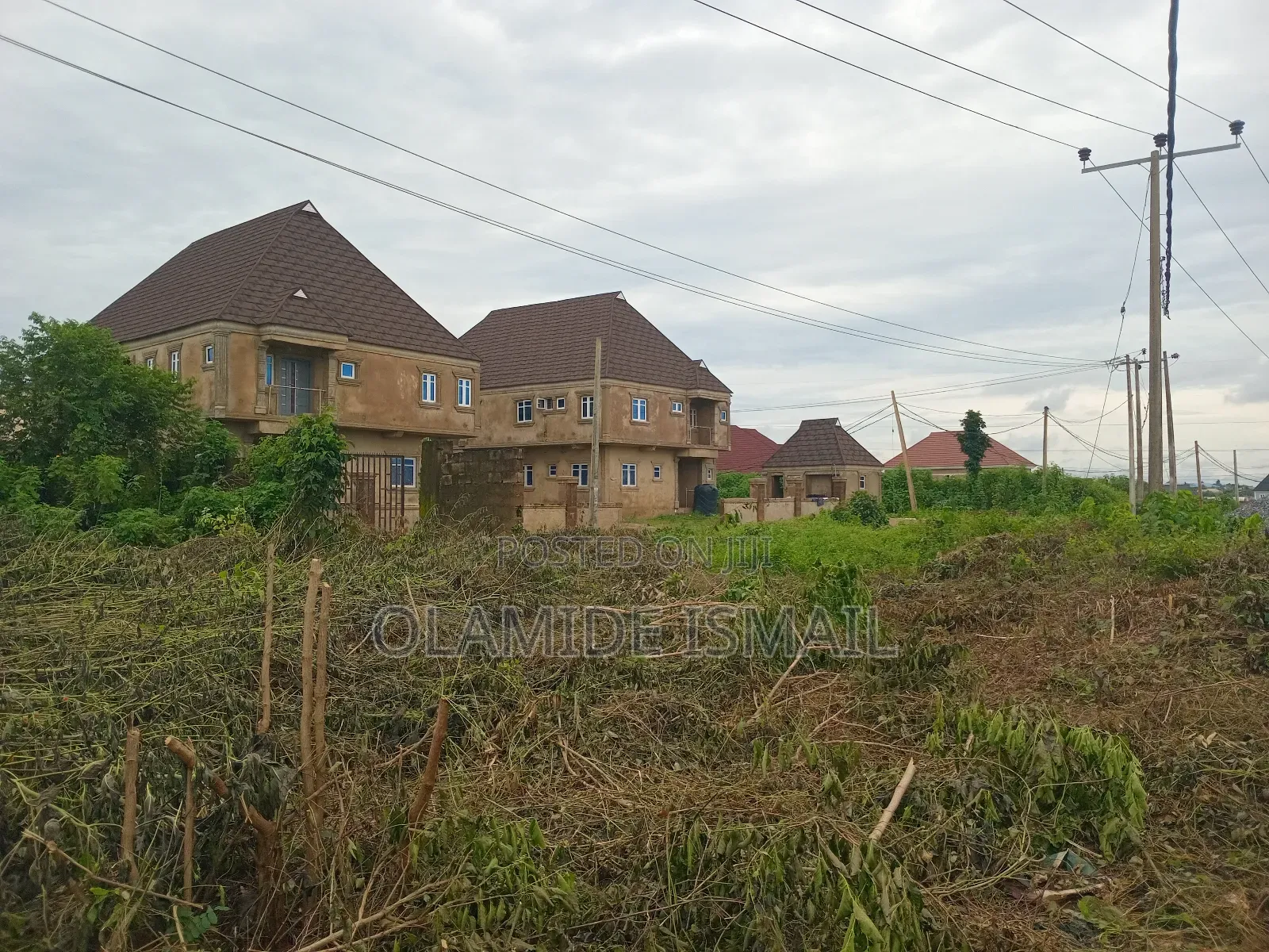 2plots Damico
