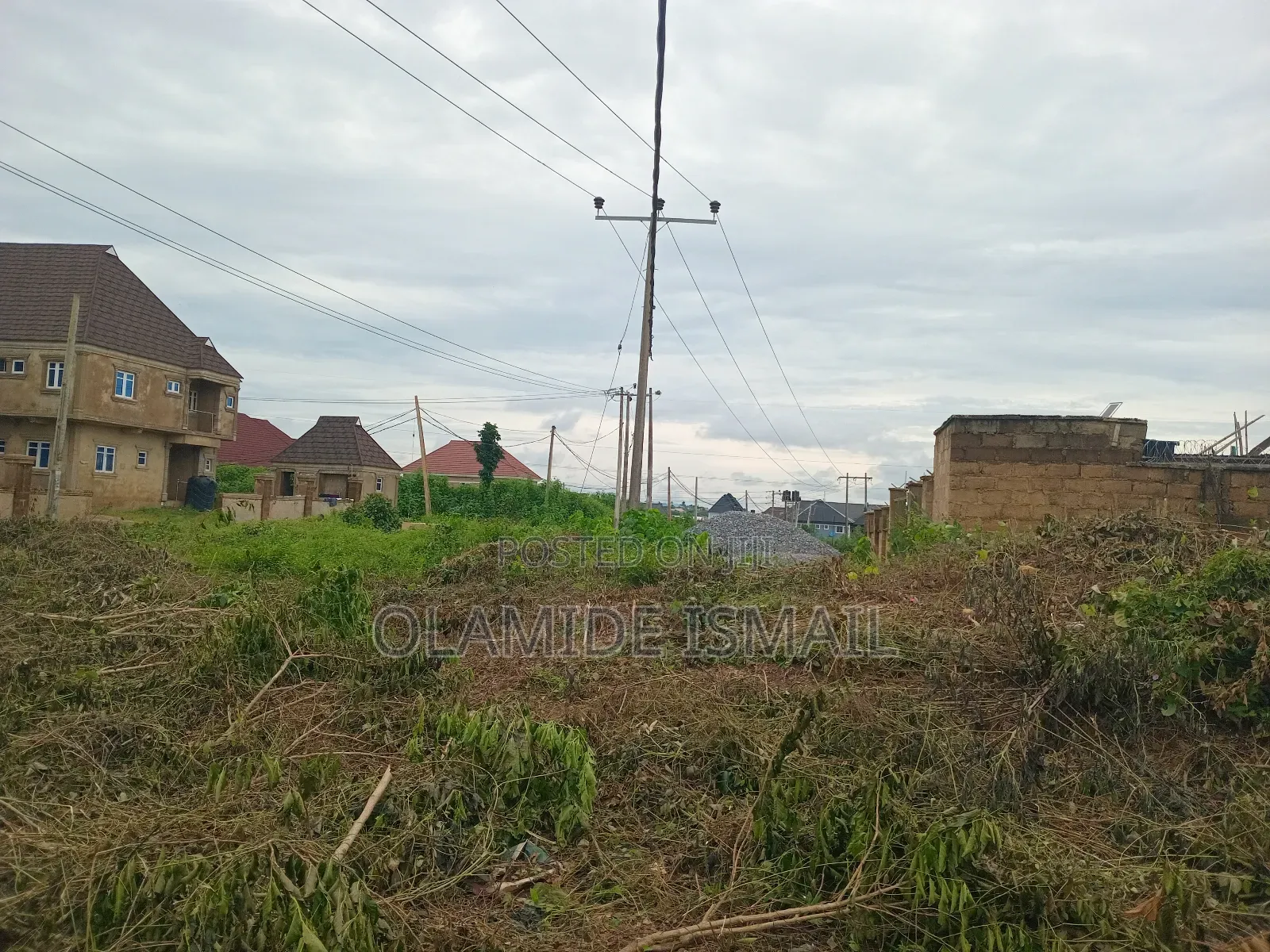 2plots Damico