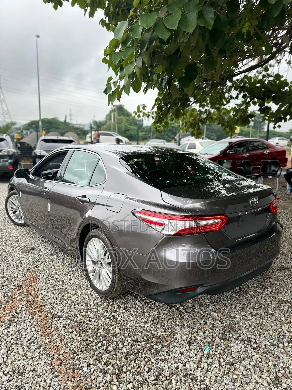 Toyota Camry XLE FWD (2.5L 4cyl 8AM) 2018 Gray