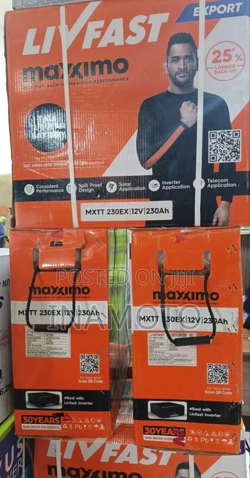 230a Tubular Battery