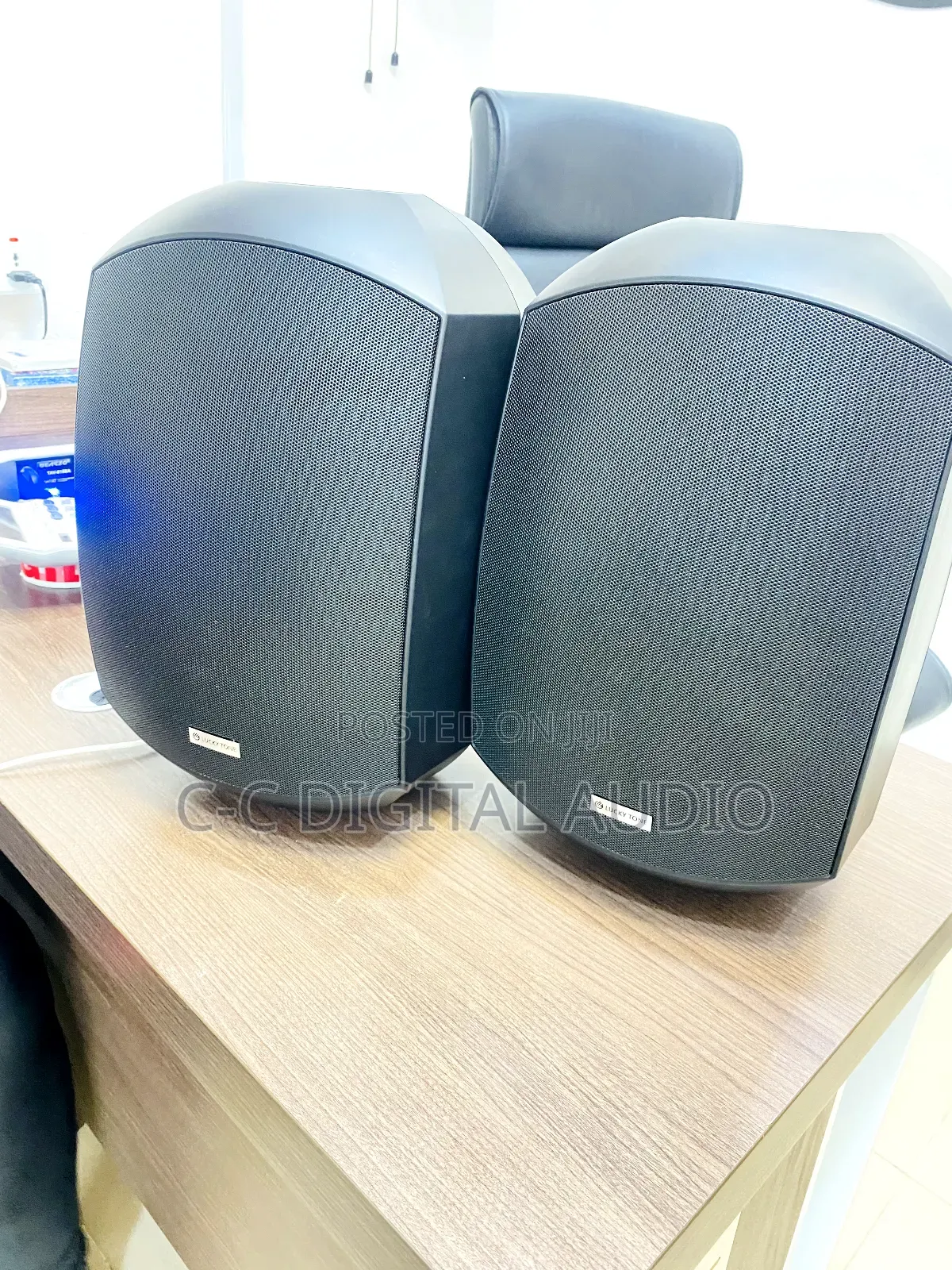 Lucky Tone Water-Proof Outdoor Speaker