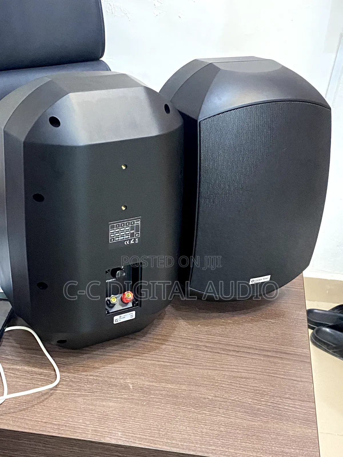 Lucky Tone Water-Proof Outdoor Speaker
