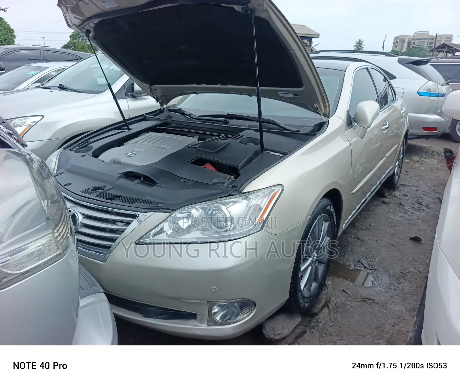 Lexus ES 350 2010 Gold