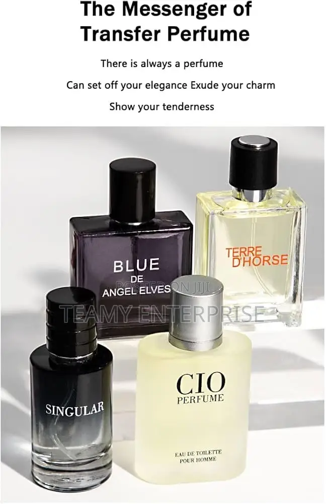 Angel Elves 4 in 1 Perfume Gift Set