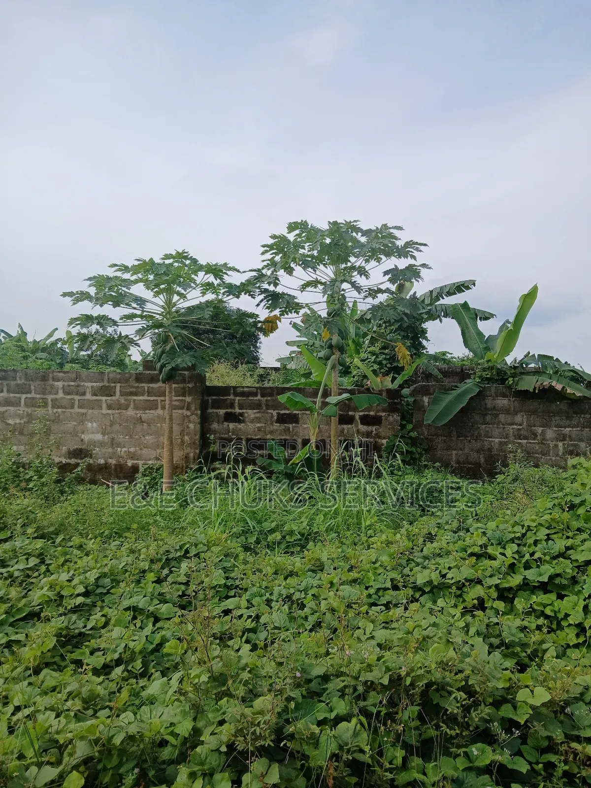 Fenced and Gated 2 Plots for Sale at Eneka