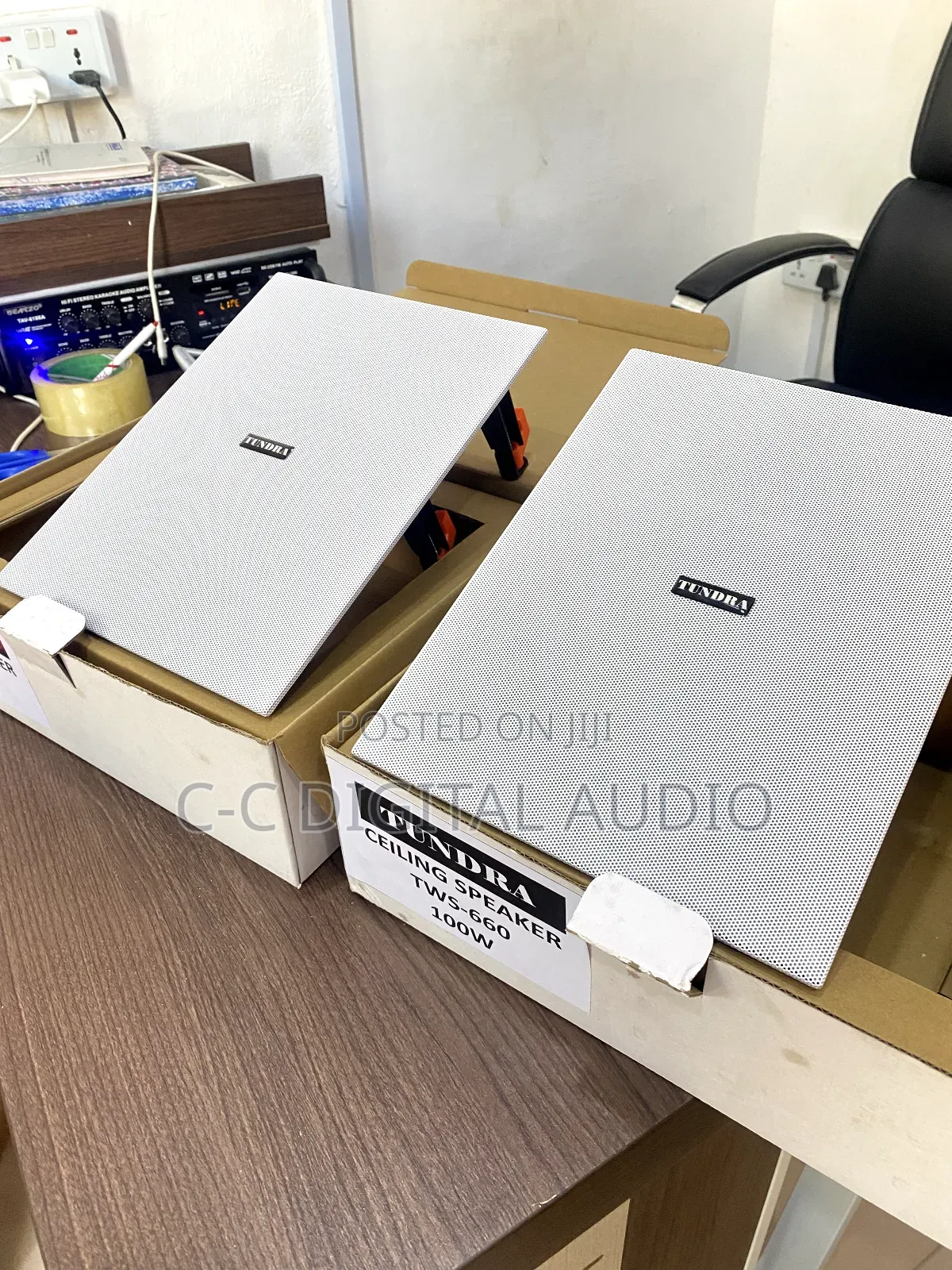 Tundra 100 Watt Inwall Speaker