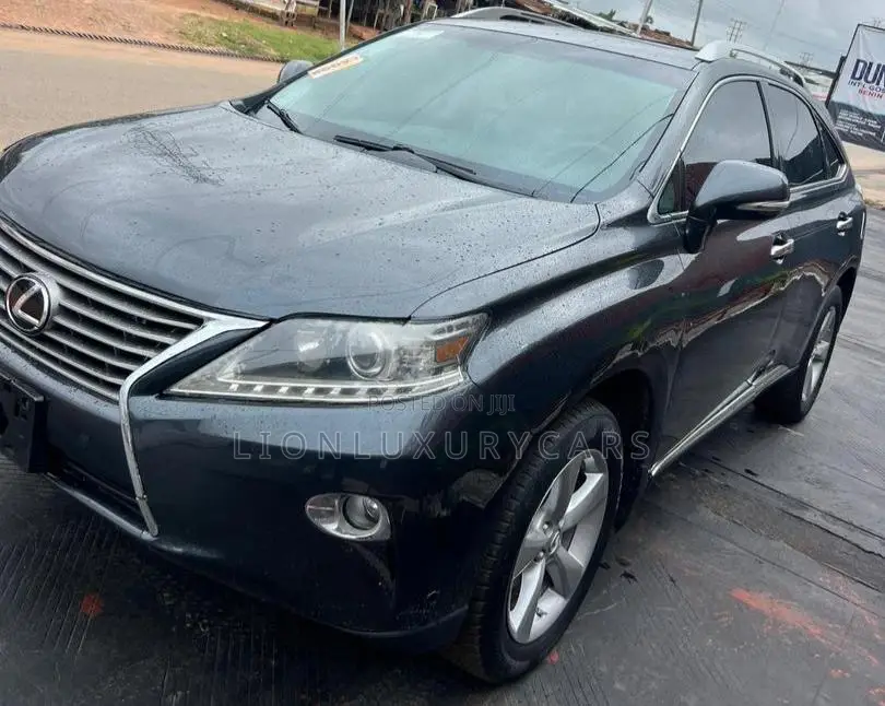 Lexus RX 2010 Black