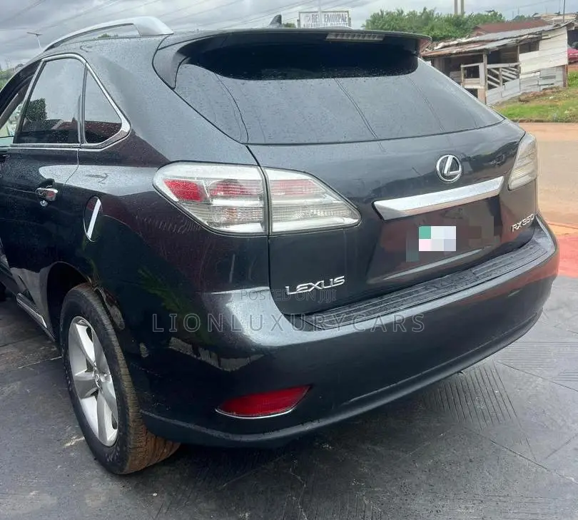 Lexus RX 2010 Black