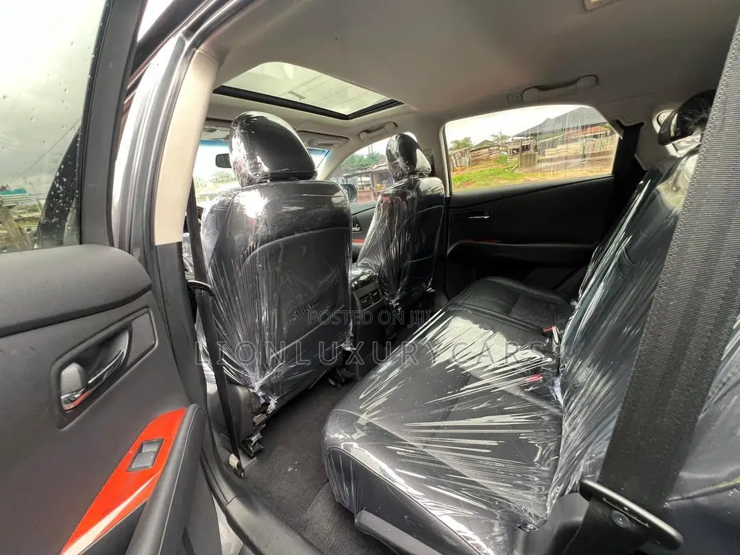 Lexus RX 2010 Black