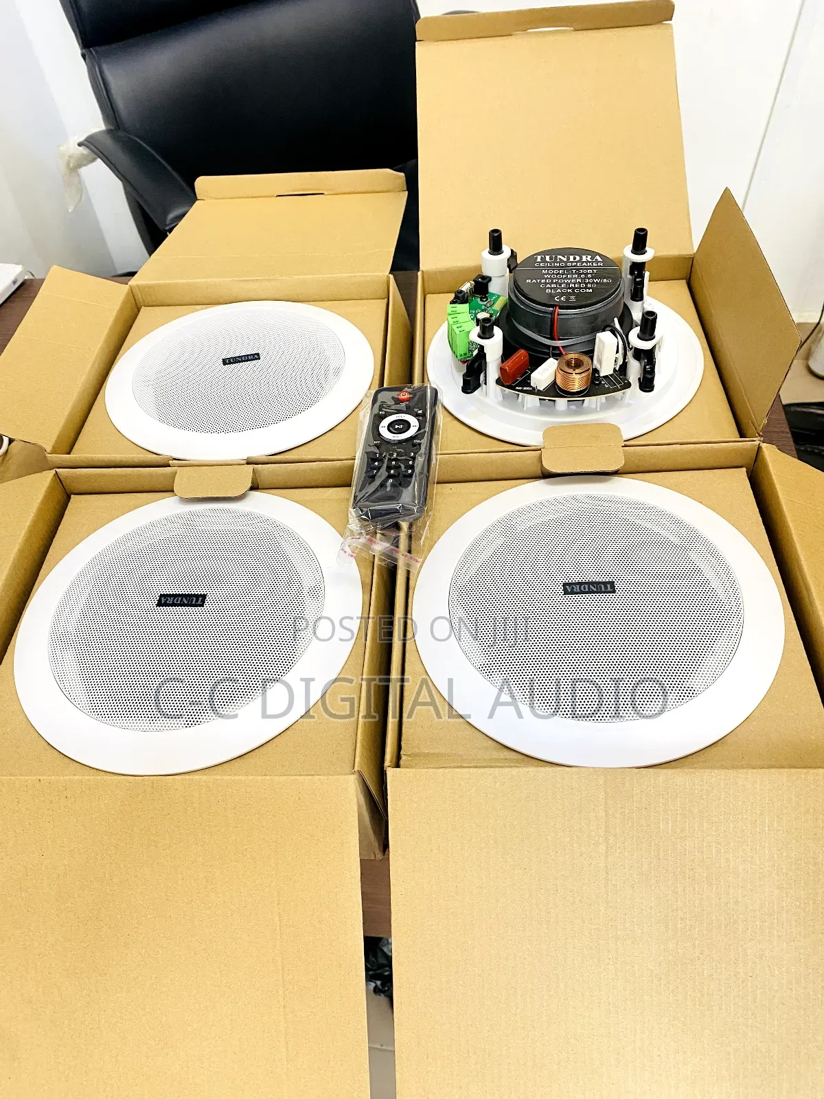 Tundra for in 1 Bluetooth Ceiling Speaker With Remote