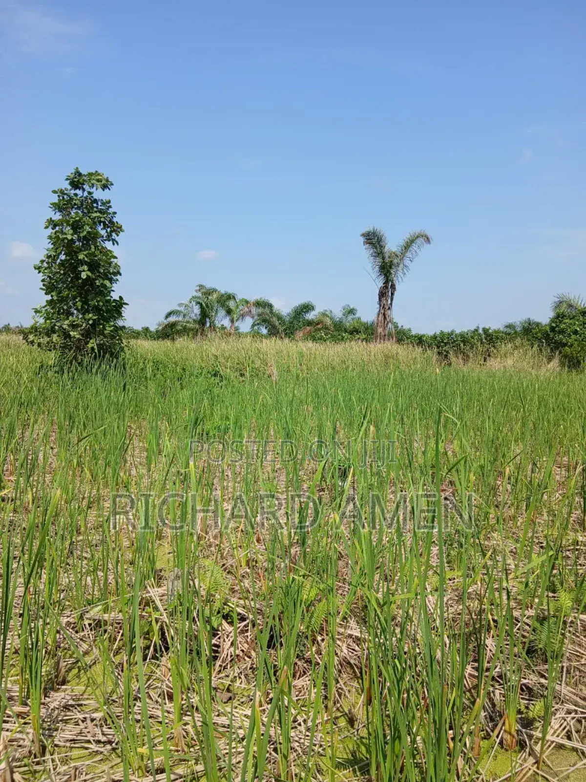 2 and Half Plot of Land Distress Sale