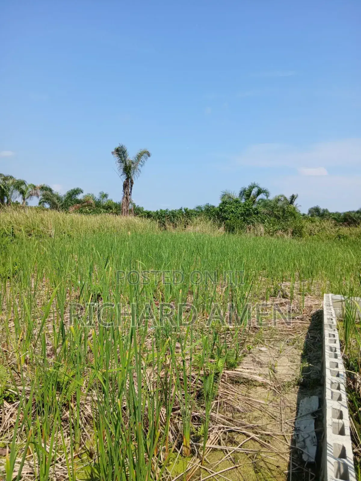 2 and Half Plot of Land Distress Sale