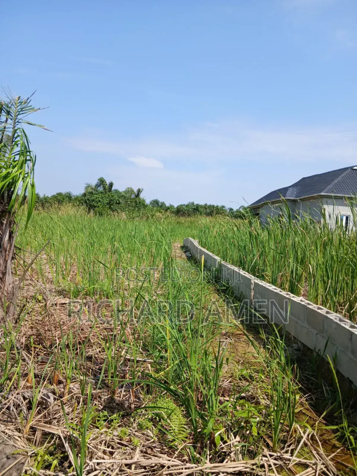 2 and Half Plot of Land Distress Sale
