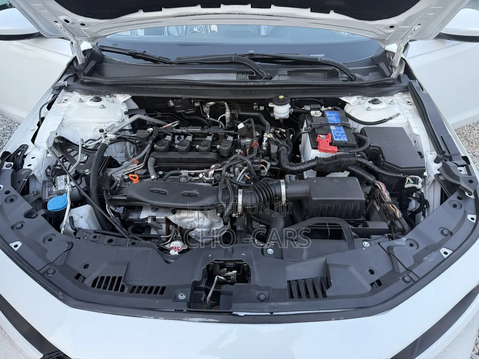 Honda Accord 2024 White