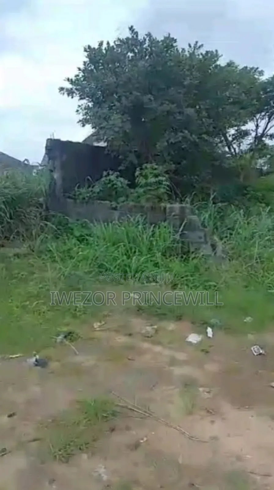 6 Plots of Land Along Major Eneka/Igwuruta Express Road