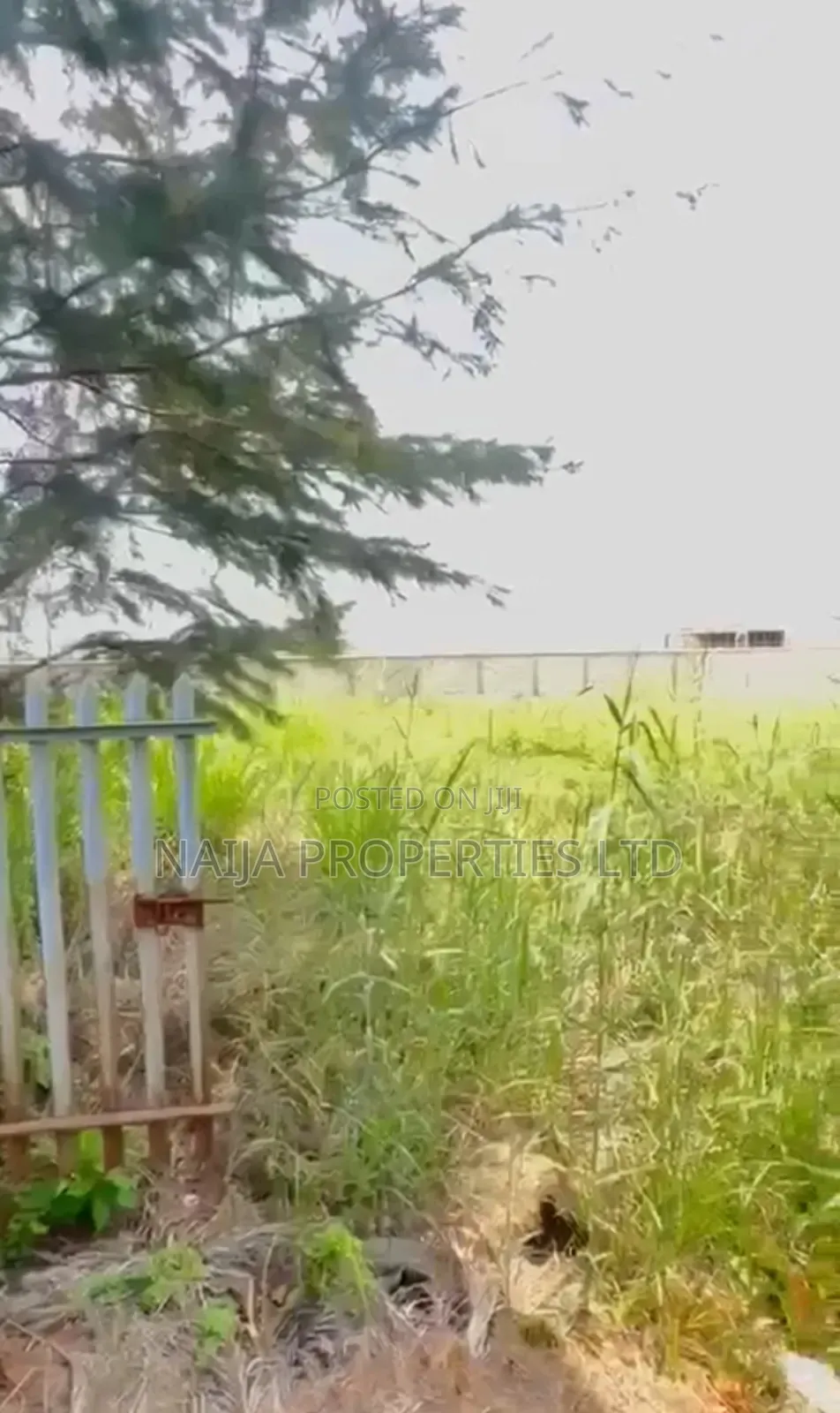 1000sqm of Land at Banana Island, Ikoyi for Sale