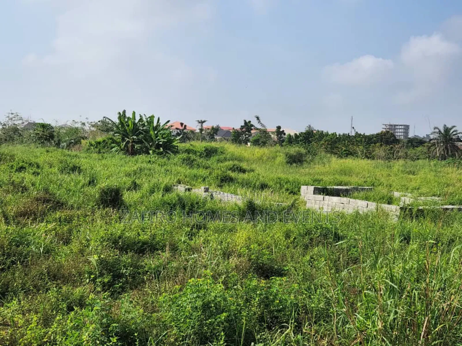 Prime Land for Sale at Ring Road Gra, Ibadan