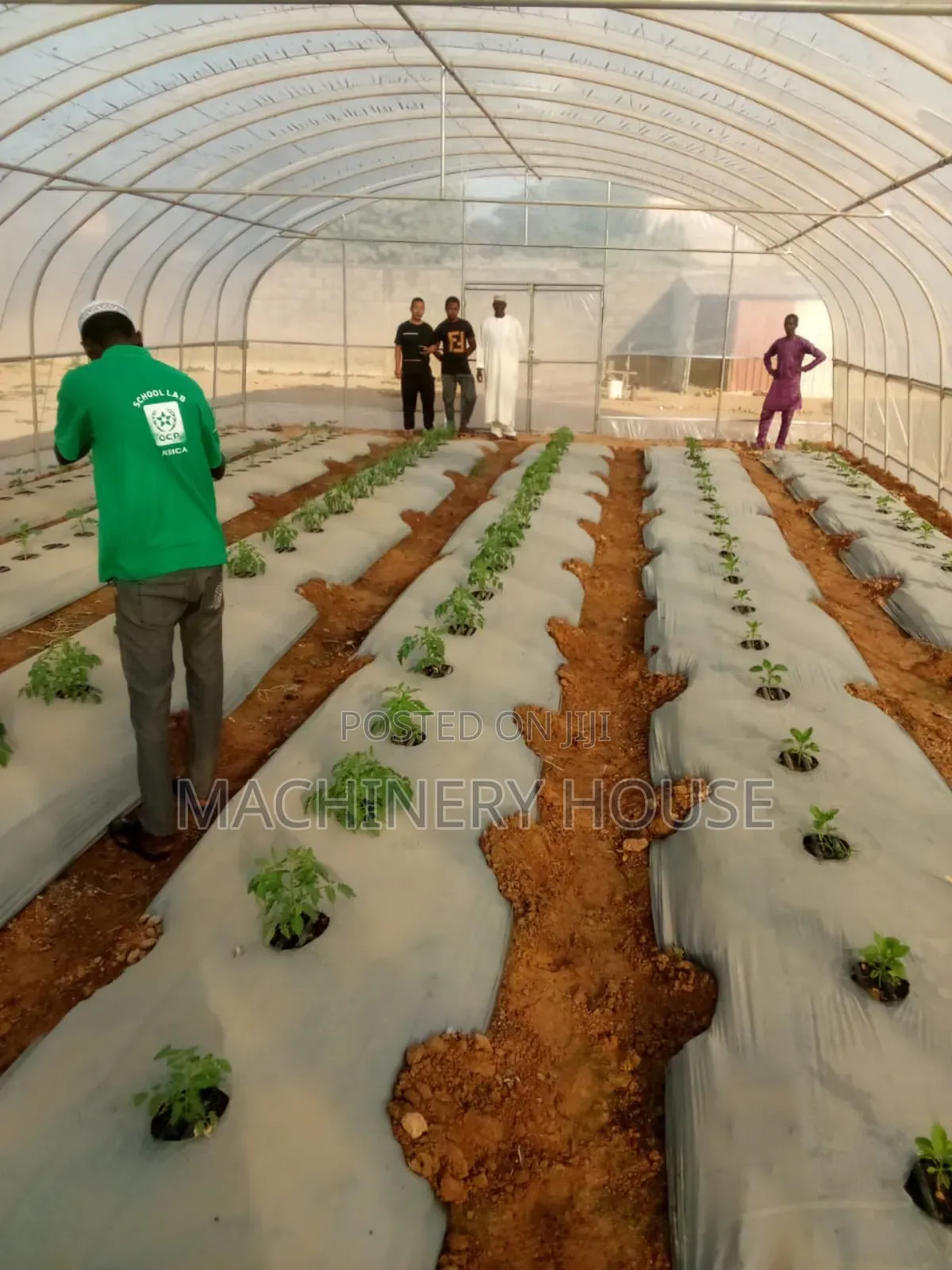 Green House Construction and Development