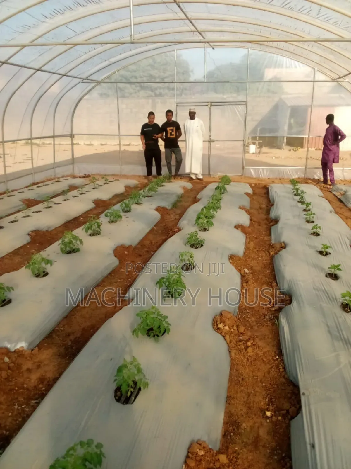 Green House Construction and Development