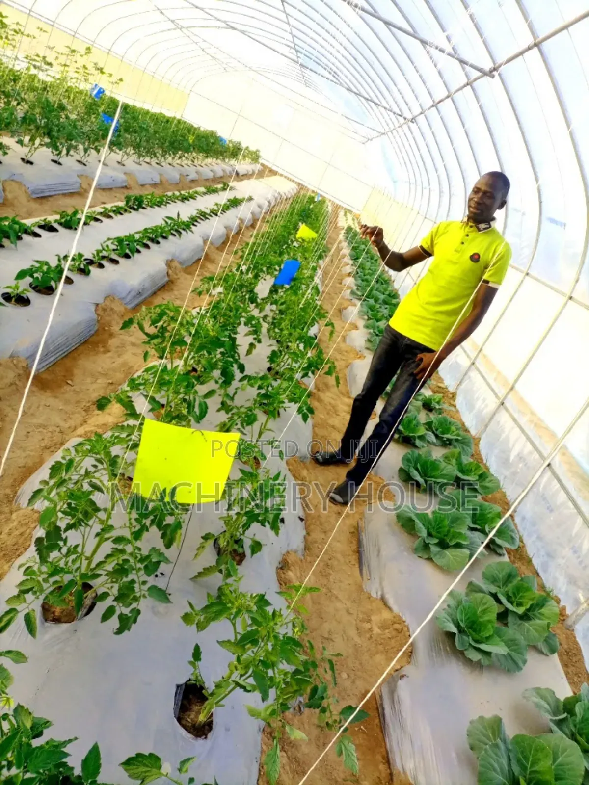 Green House Construction and Development