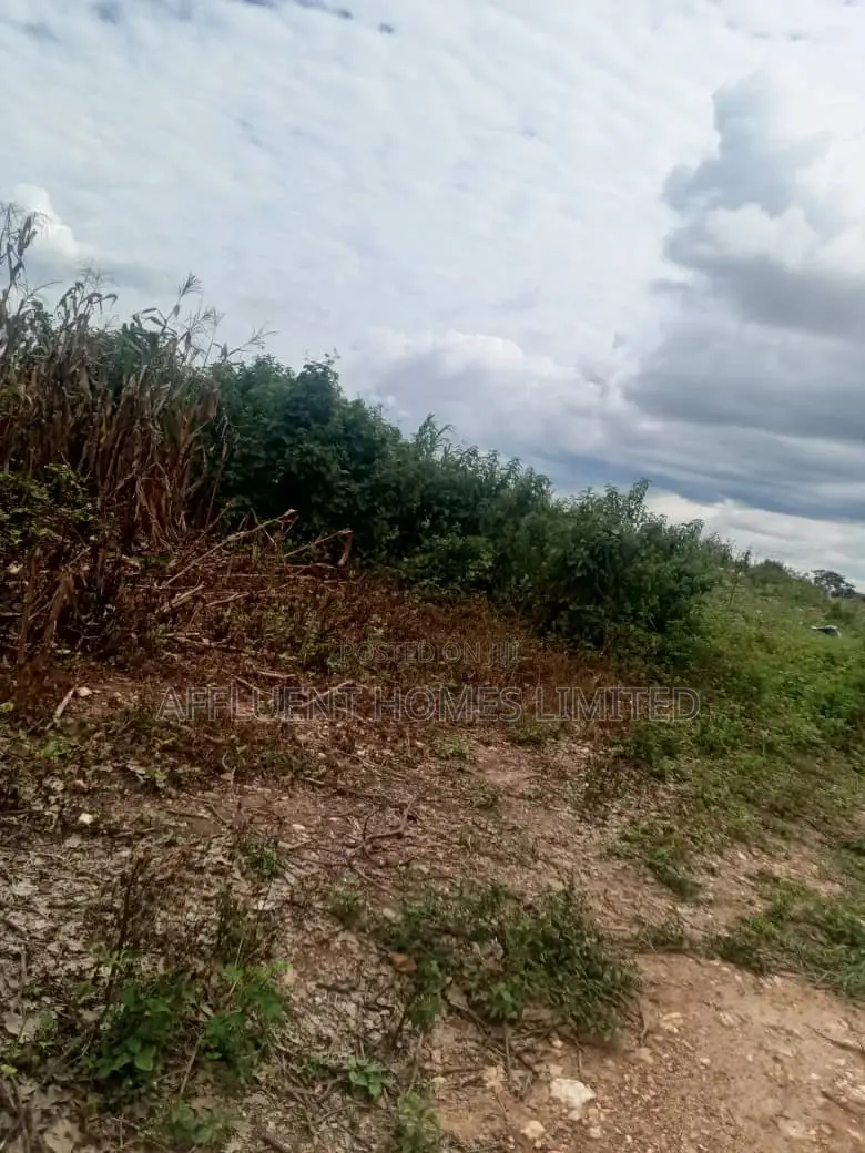 350sqm of Residential Estate Land for Sale in Pyakasa. Abuja