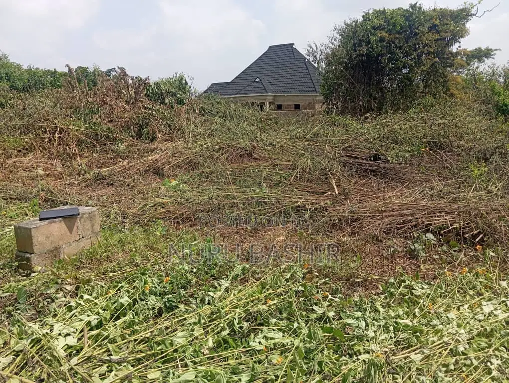 One and Half Plot of Land