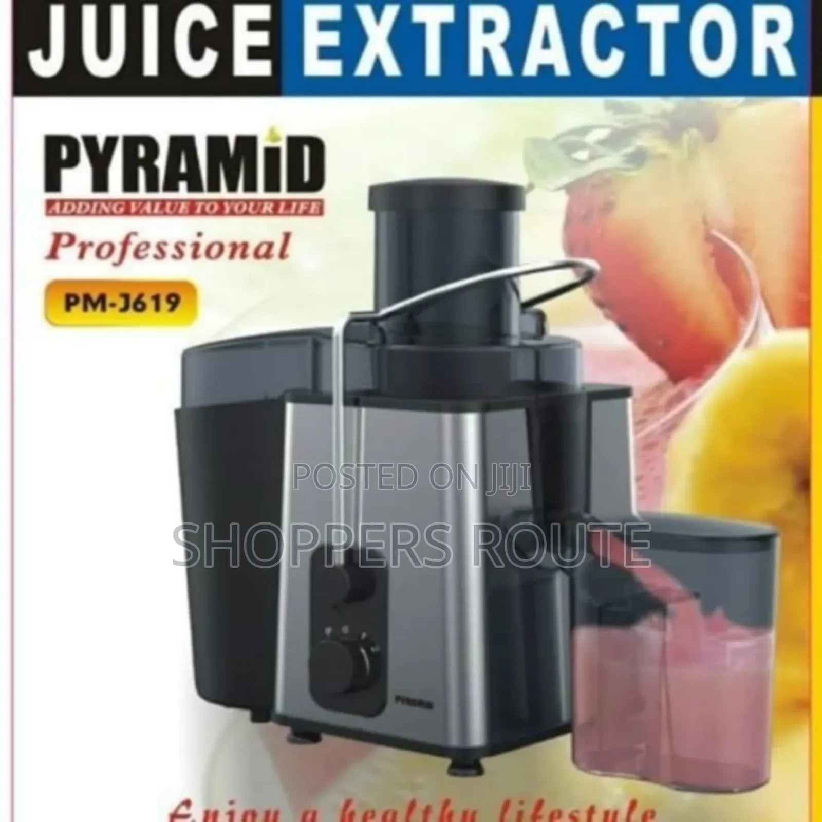 Pyramid Juice Extractor