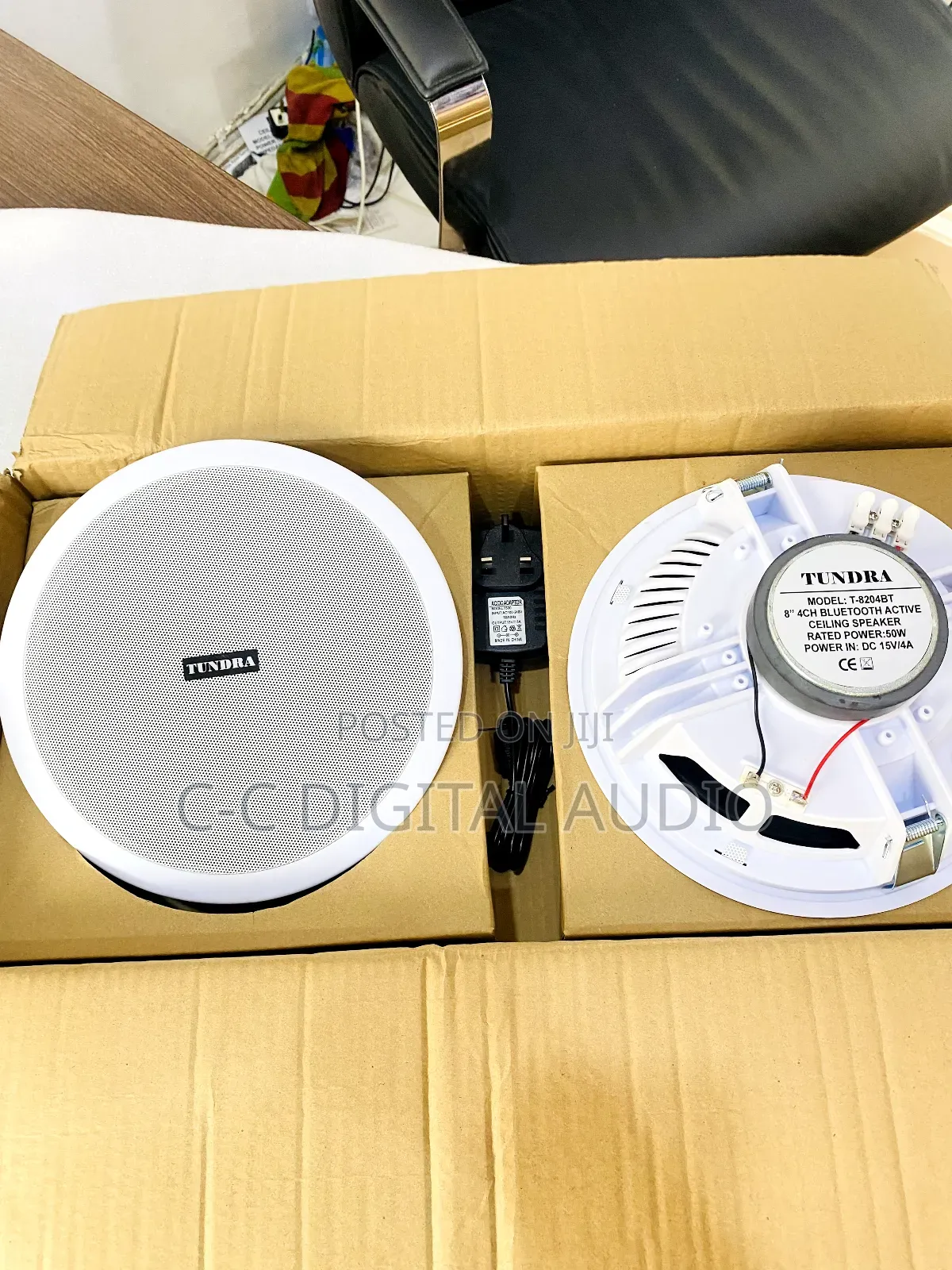 Tundra 2in1 Bluetooth Ceiling Speaker