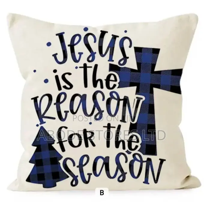18 X 18 Inch Jesus Is the Reason Throw Pillow