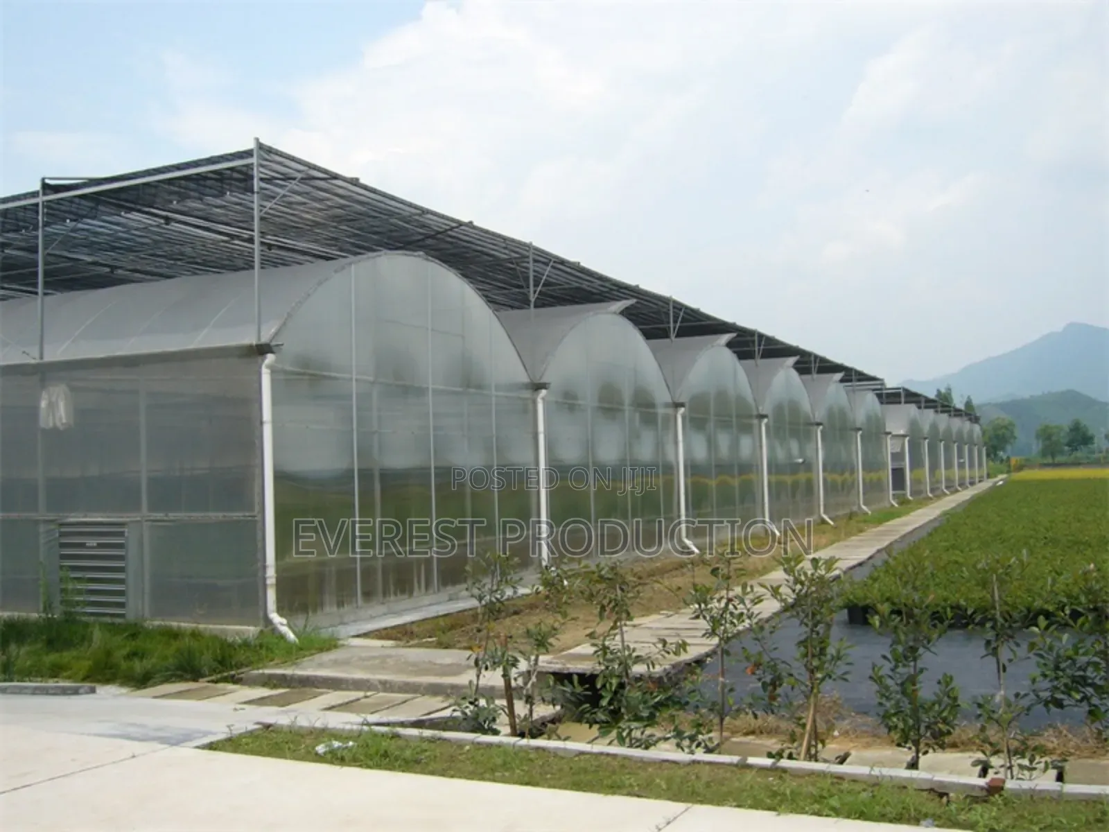 Skylight Polycarbonate Sheet for Agriculture