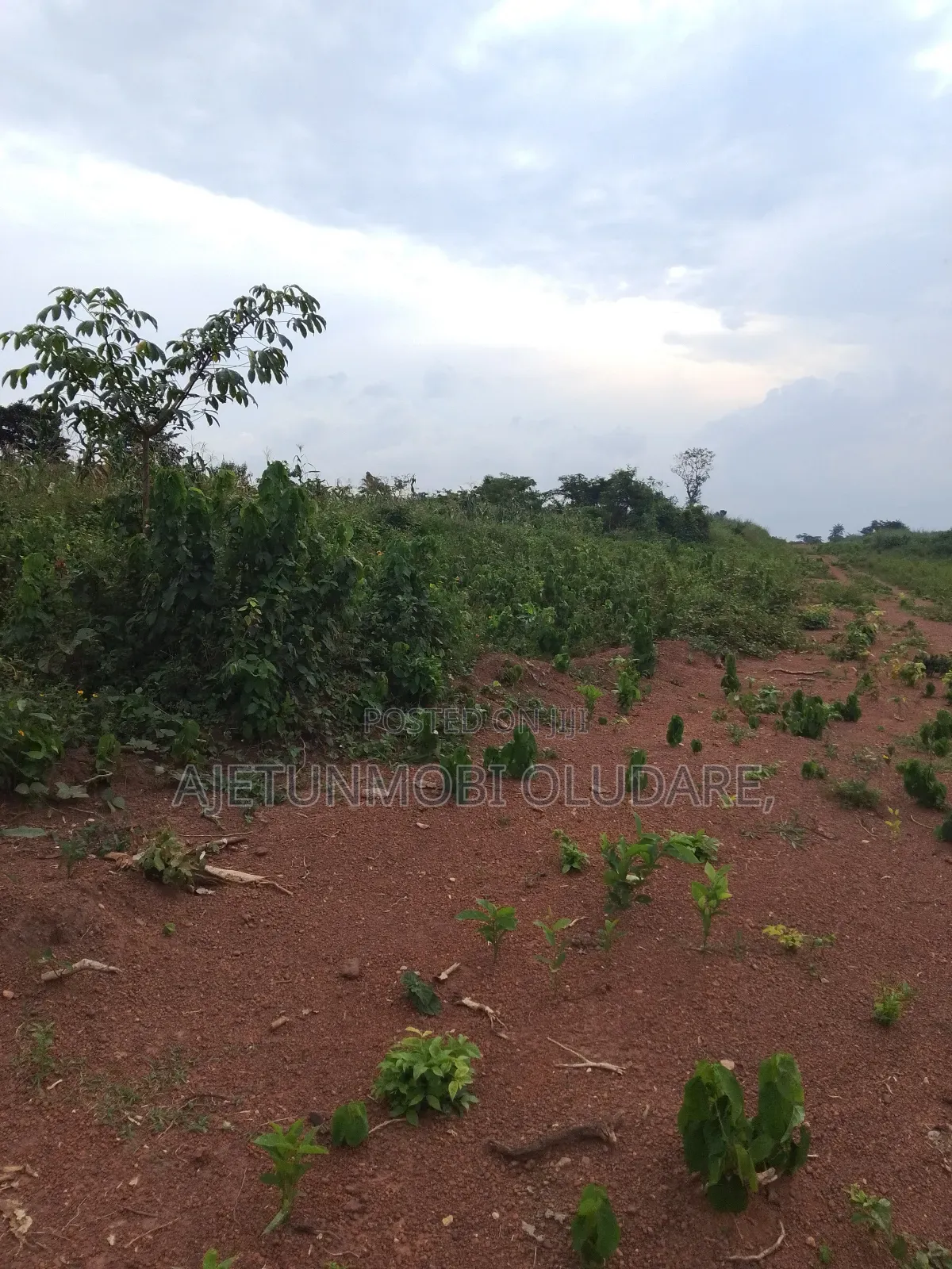 Farm Land and Plots for Sale
