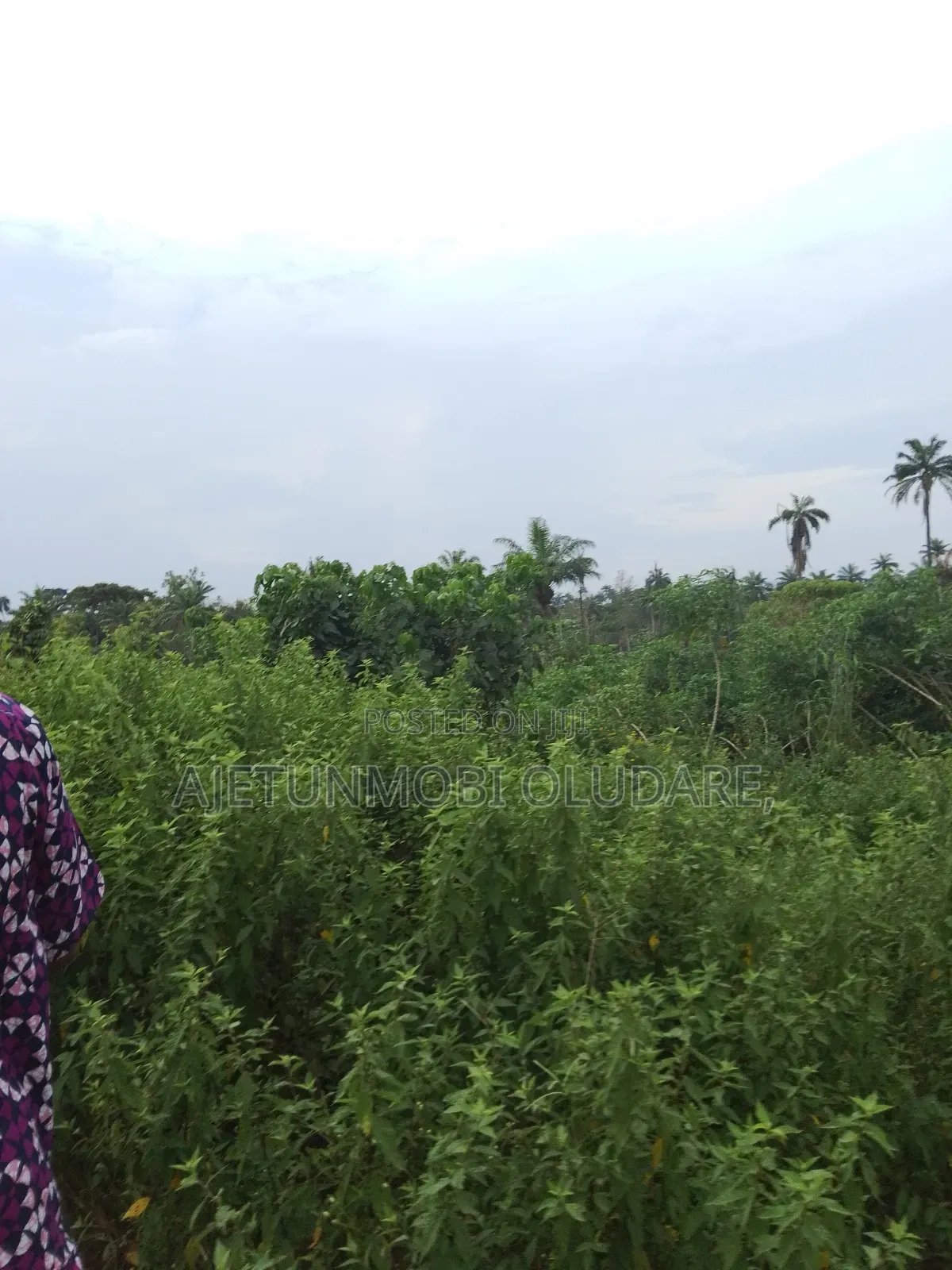 Farm Land and Plots for Sale