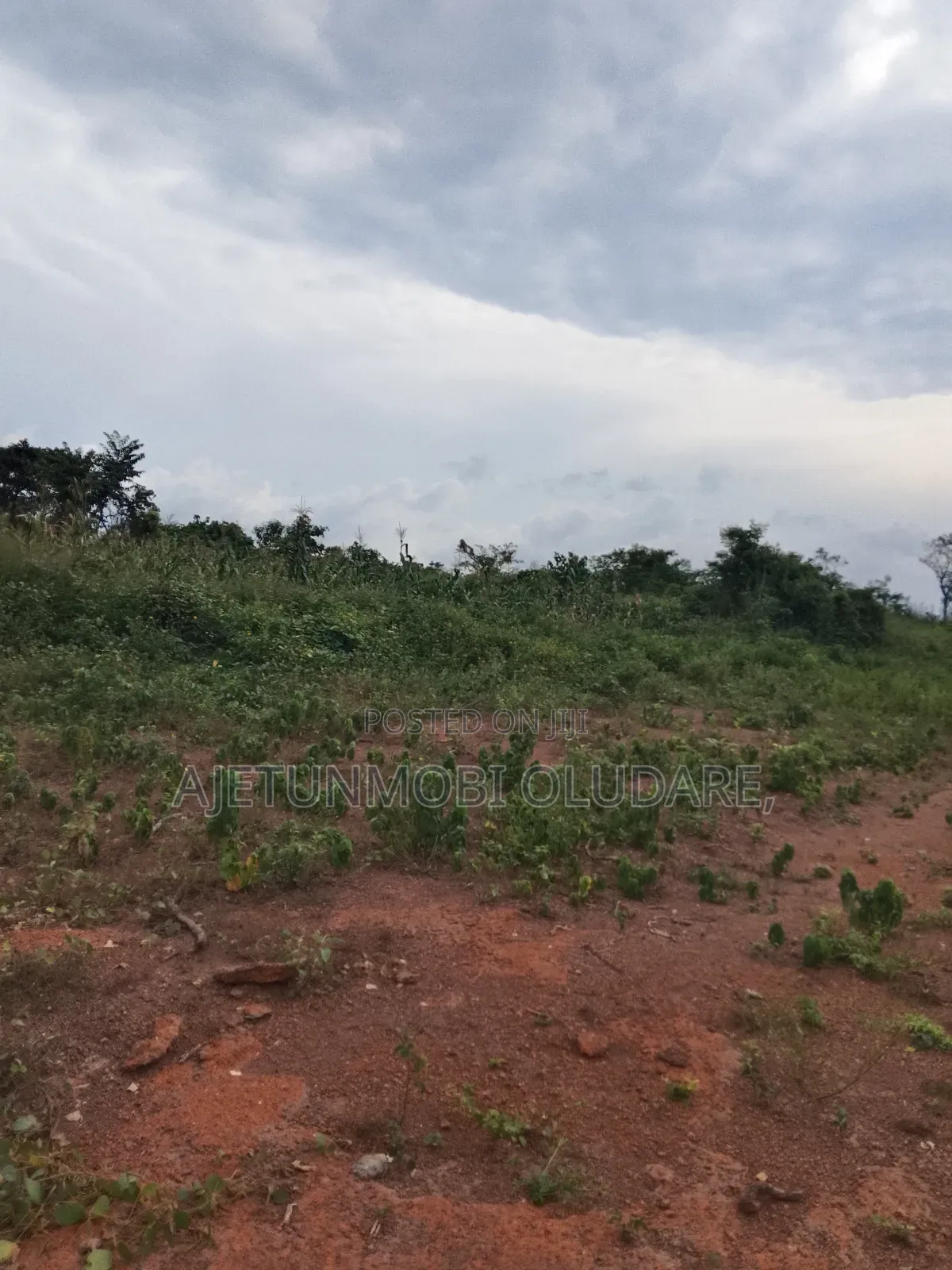 Farm Land and Plots for Sale