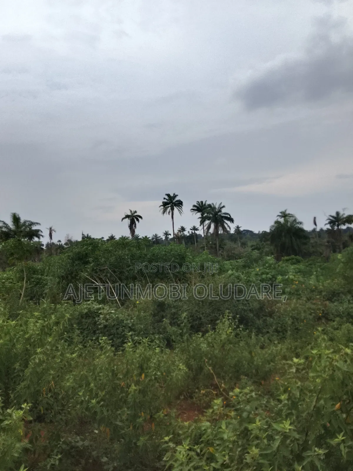 Farm Land and Plots for Sale