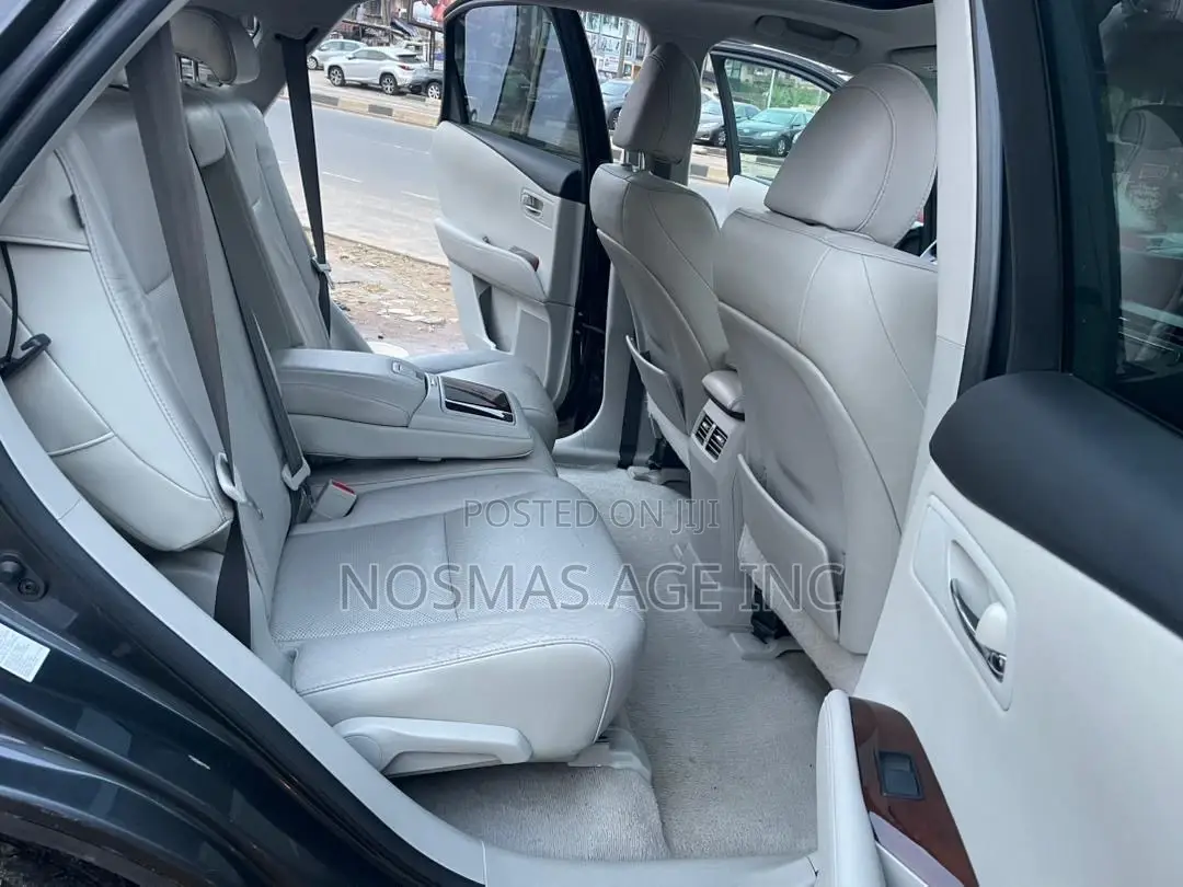 Lexus RX 350 2010 Gray