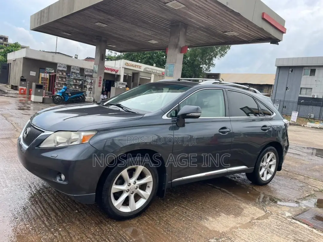 Lexus RX 350 2010 Gray