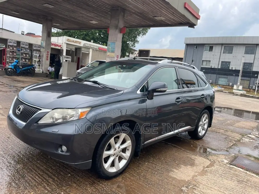 Lexus RX 350 2010 Gray