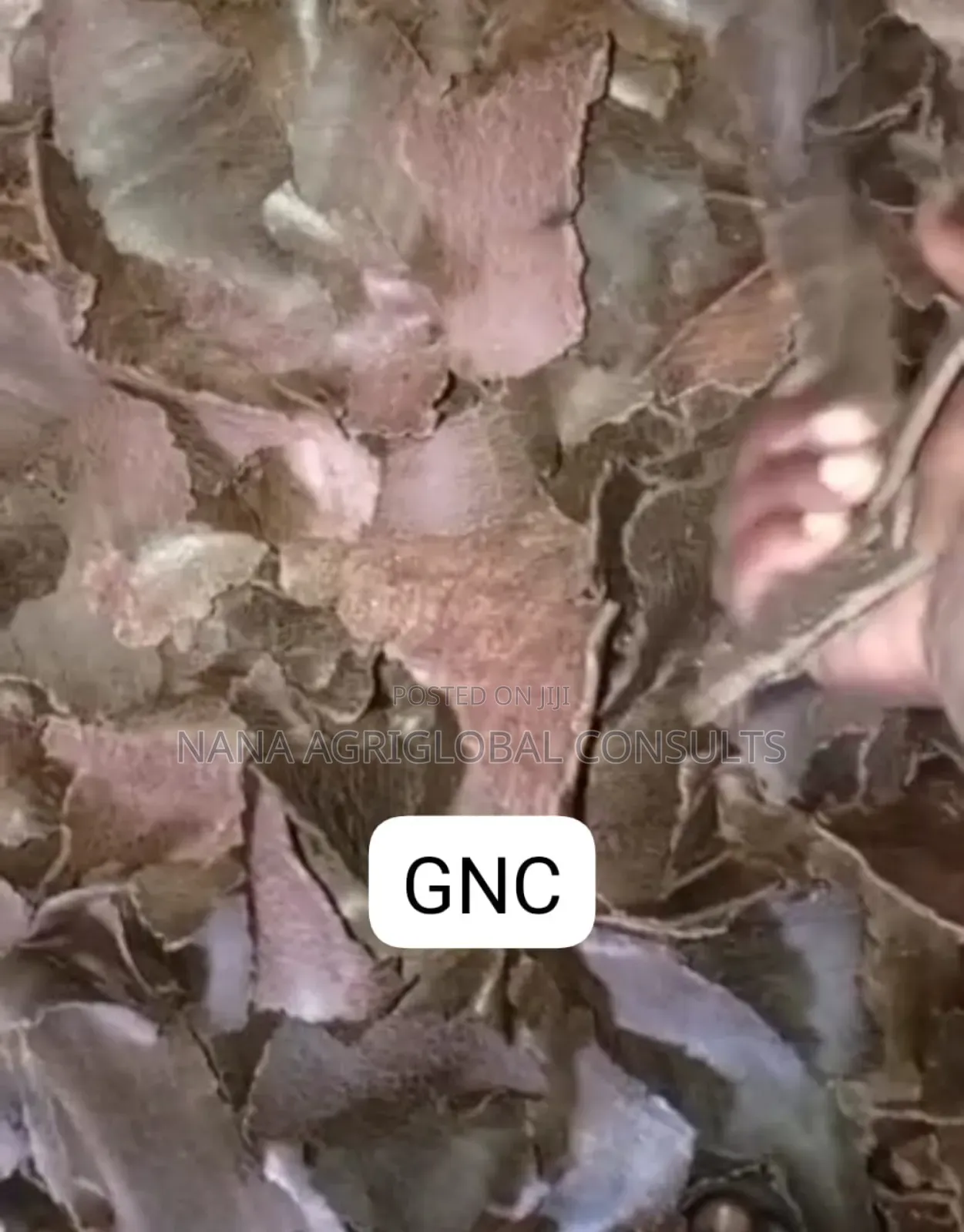 Animal Feed Corn Chaff,Gnc,Cotton Seed Cake,Soyabean,Beans,Dry Blood