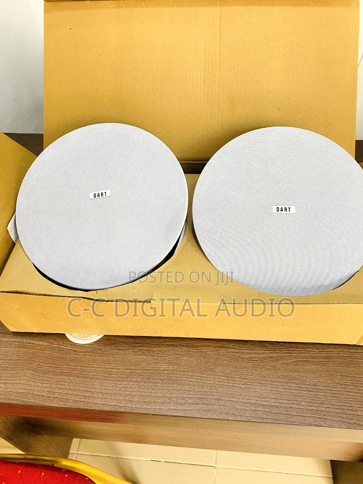 Dart Power 2in1 Bluetooth Ceiling Speaker