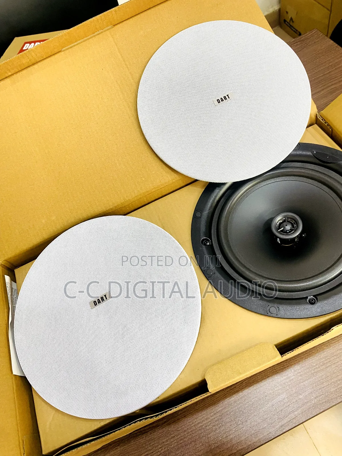 2 in 1 Drat Ceiling Speaker