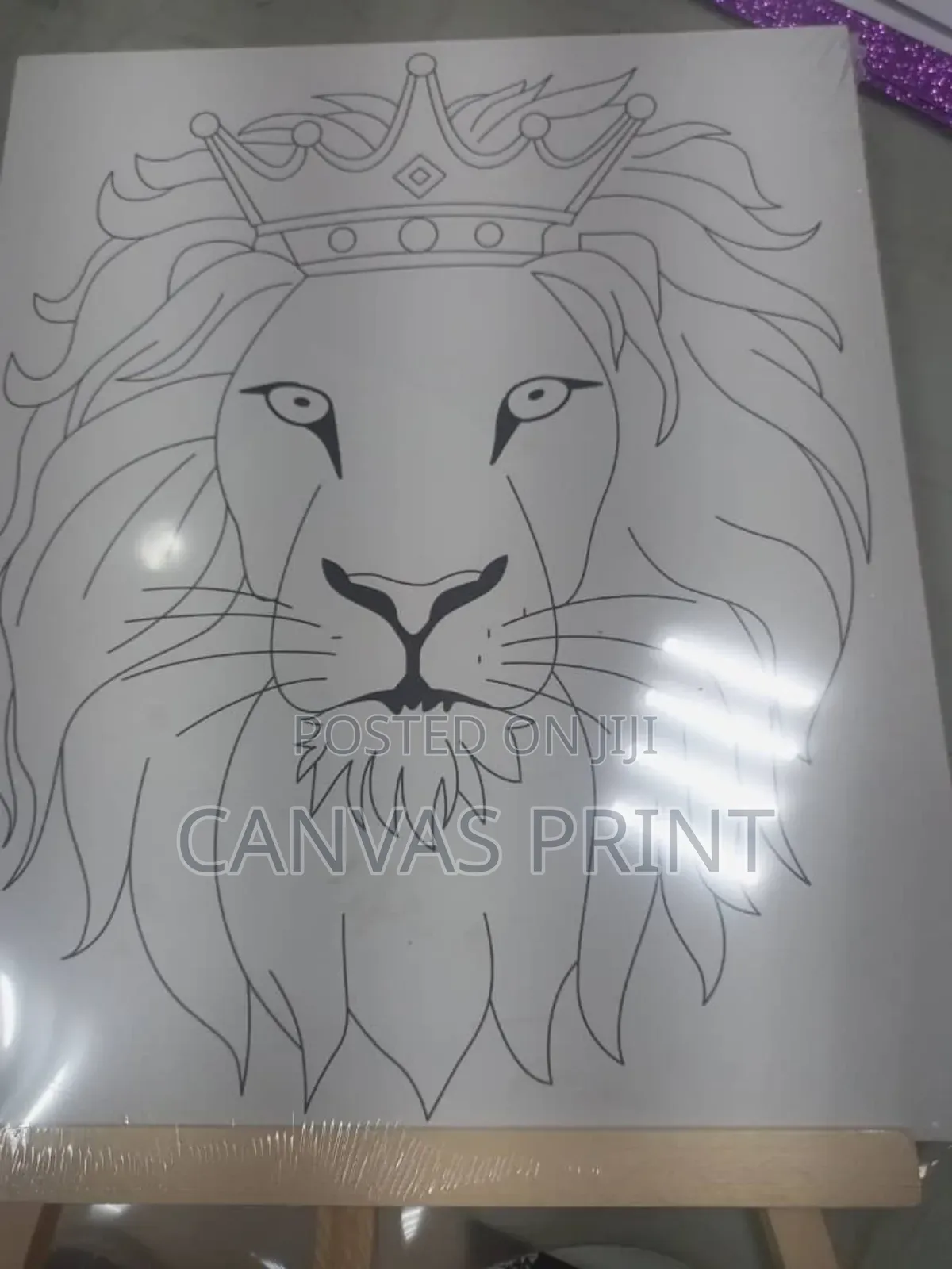 Pre Drawn Canvas Set