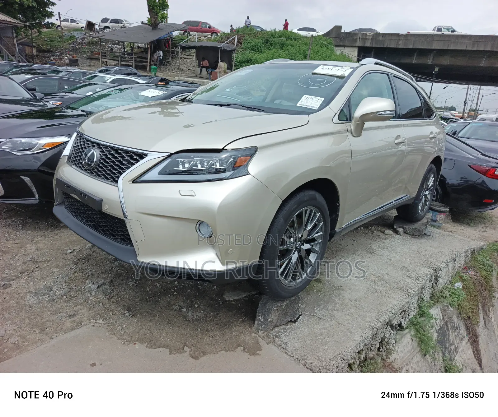 Lexus RX 350 FWD 2014 Gold