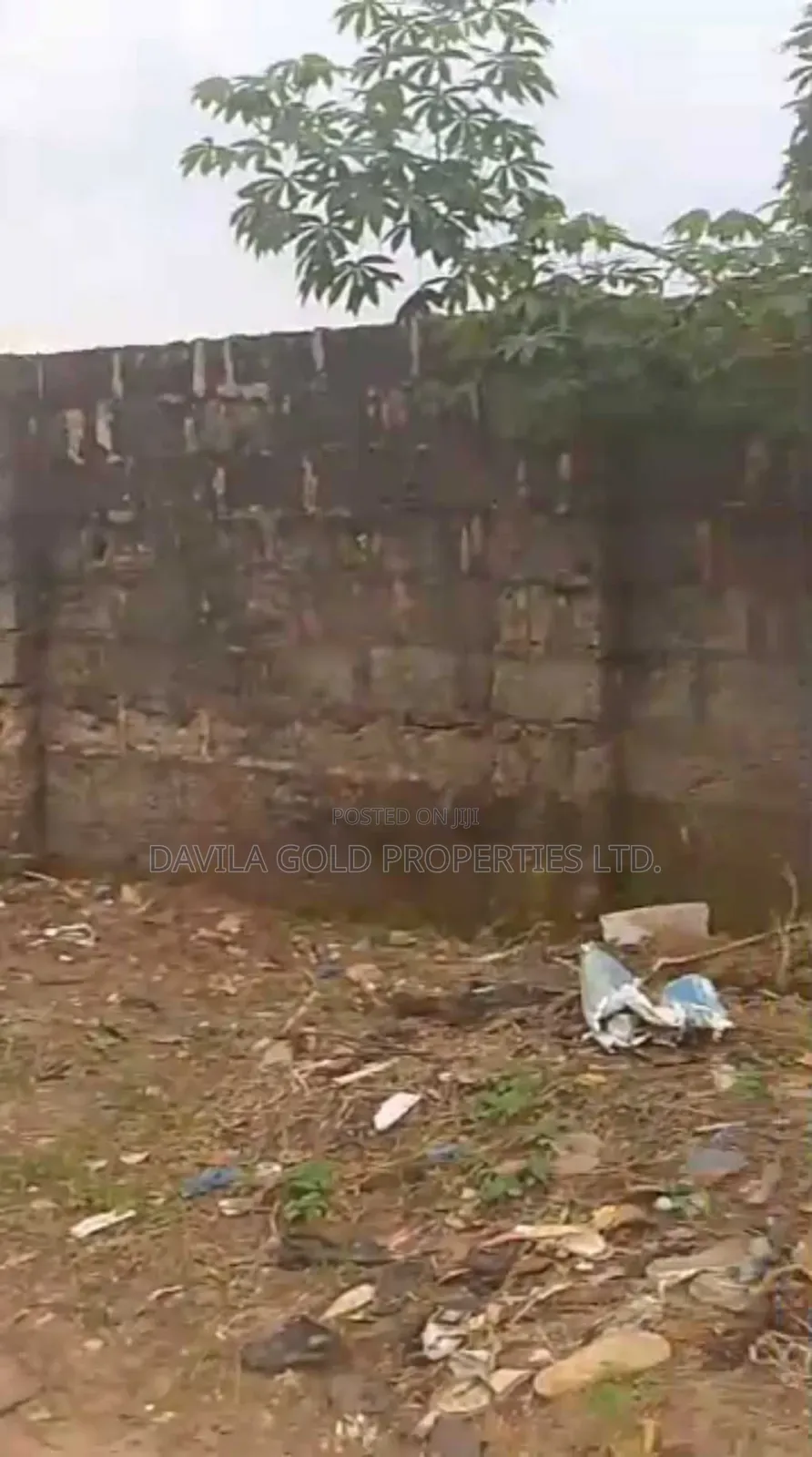 Bare Land at Ogunwenyin for Sale