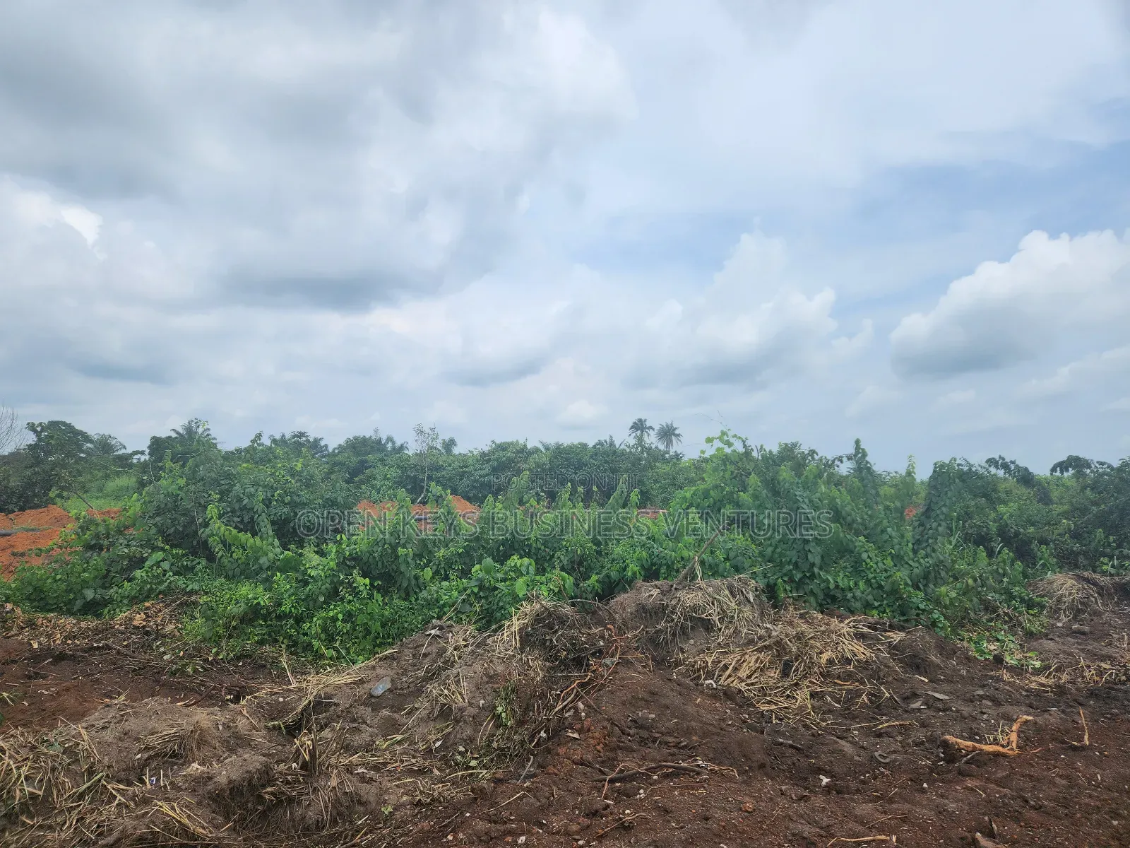 255 Acres of Industrial Land at Odogbolu Road.Ogun State