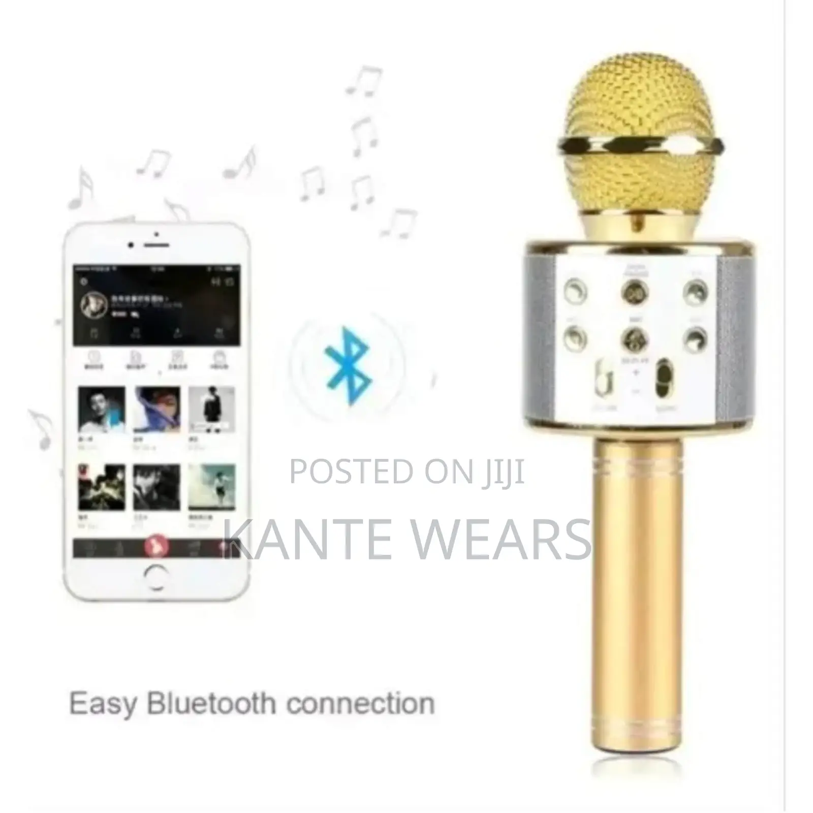 Wireless Bluetooth Karaoke Microphone