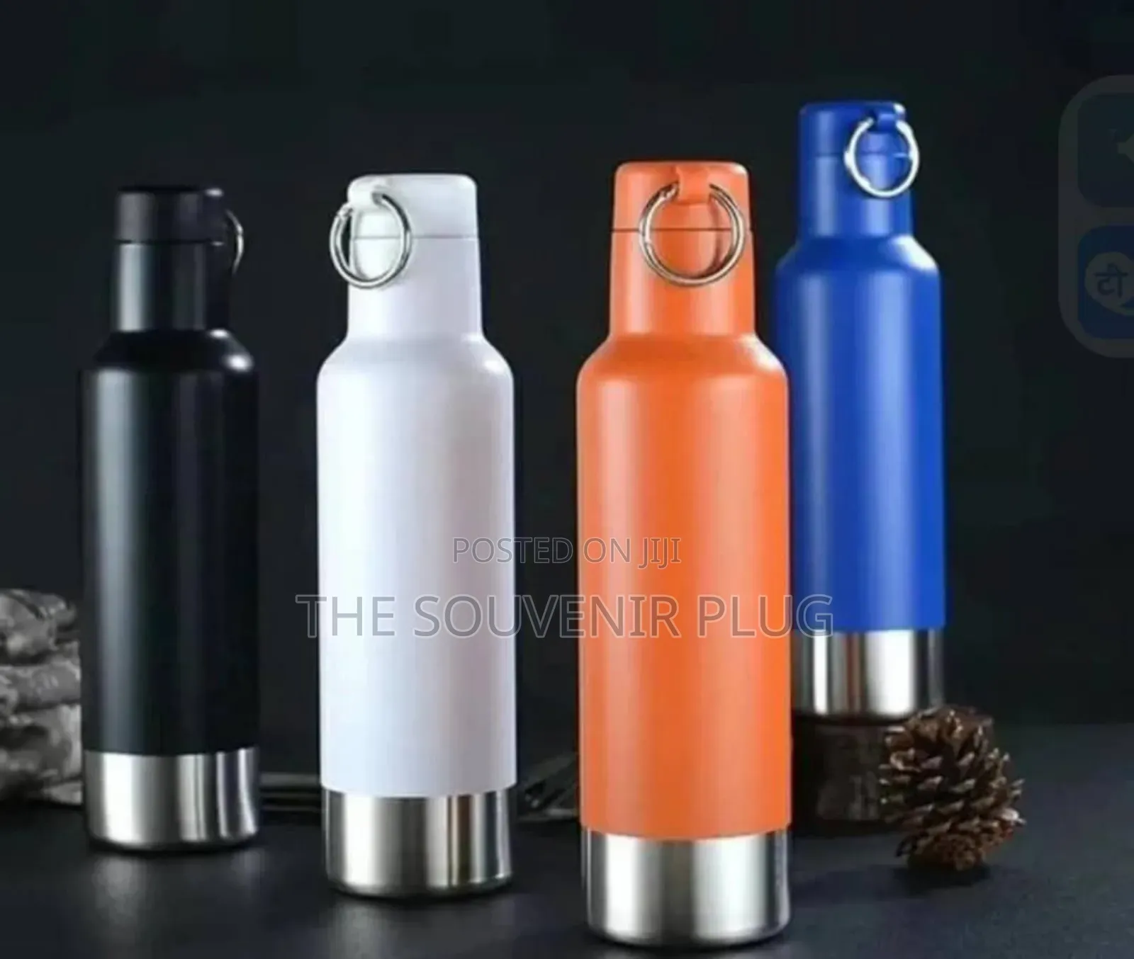 Stainless Steel Water Bottle