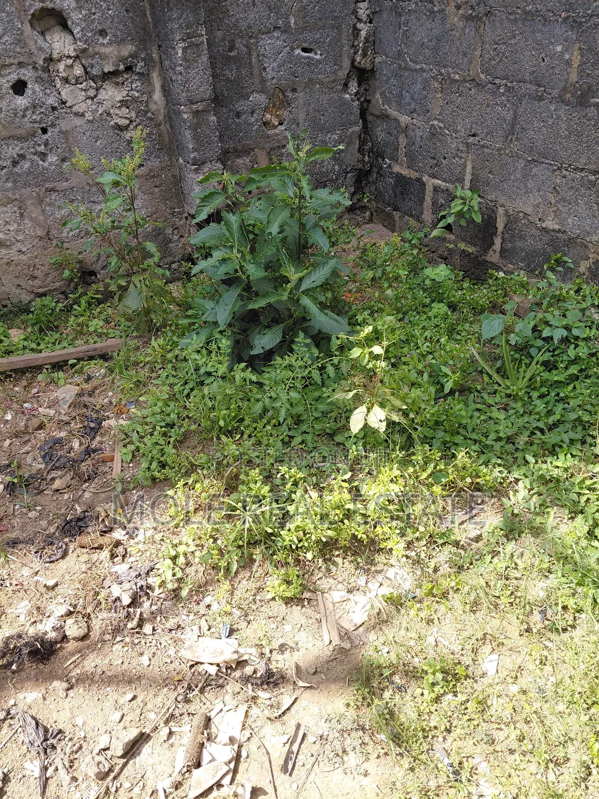 Jetty on 9 Plots Kirikiri 4 Sale Waterside Motorable